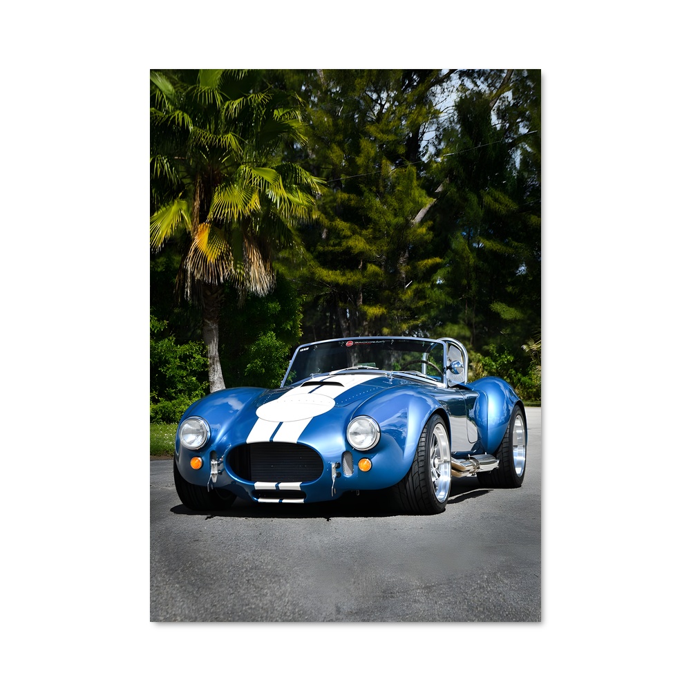 Poster Cobra Sportif